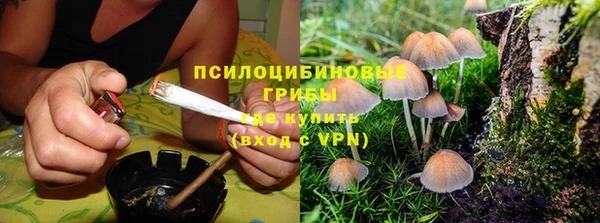 дмт Липки