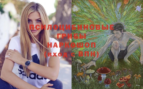 не бодяженный Лагань