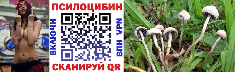 Галлюциногенные грибы Psilocybe  omg сайт  Томмот  цена  