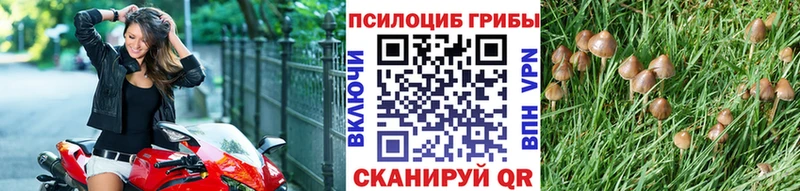 Галлюциногенные грибы прущие грибы Томмот